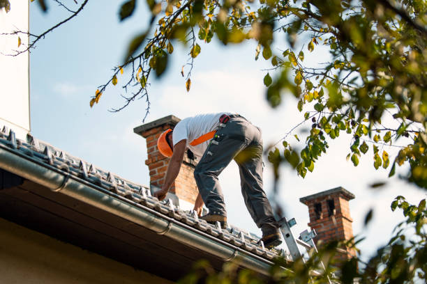 Best Storm Damage Roof Repair  in Mandeville, LA