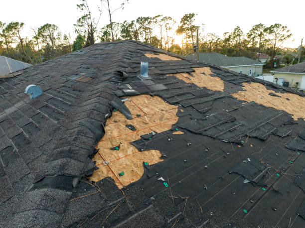 Best Solar Panel Roofing Installation  in Mandeville, LA